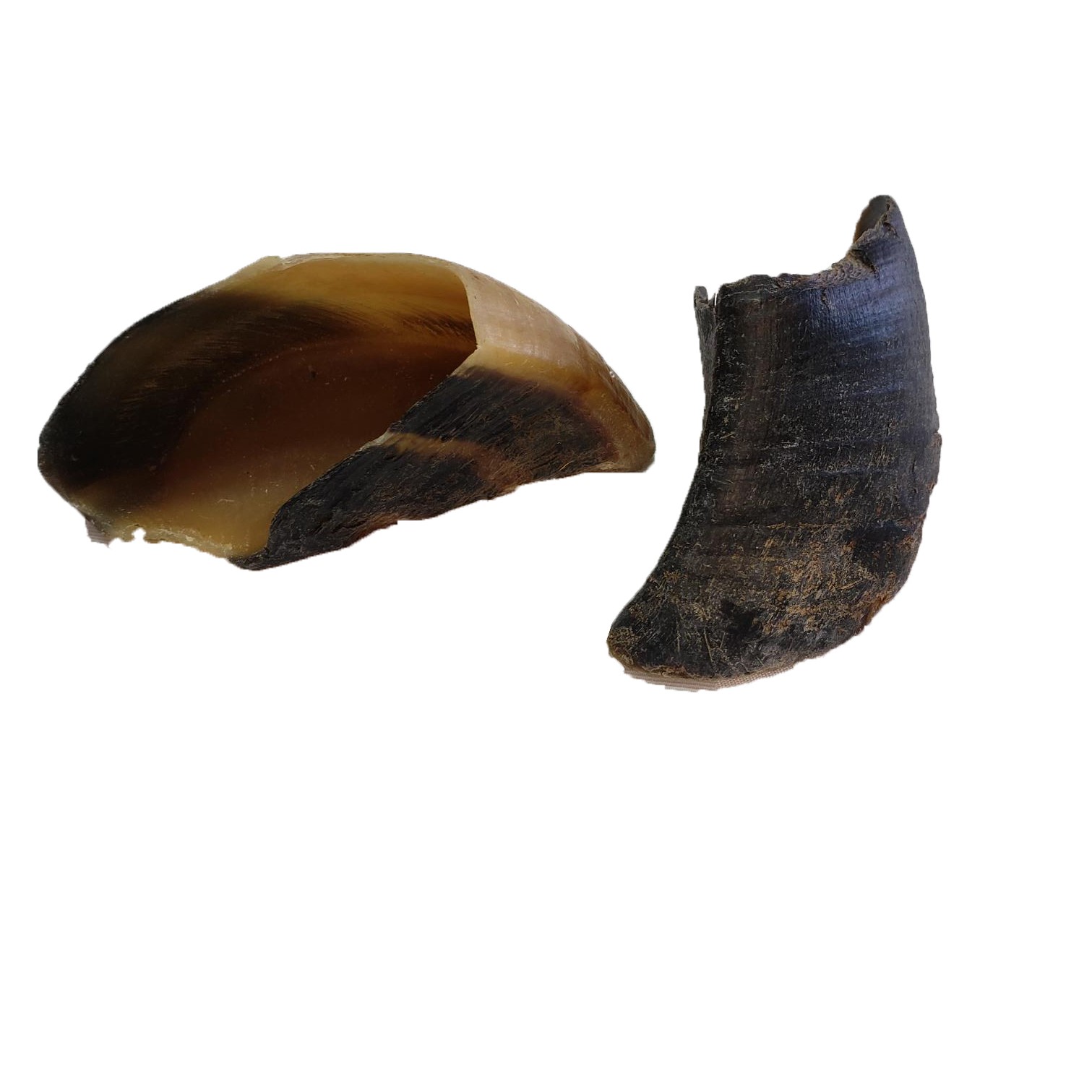 Cow Hooves