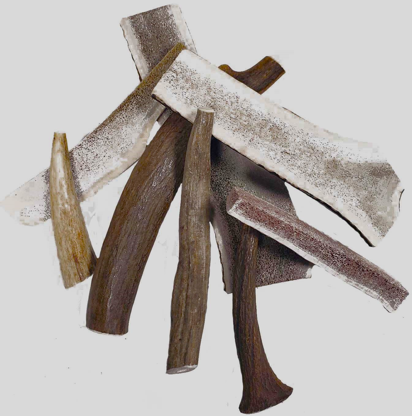 Elk Antlers