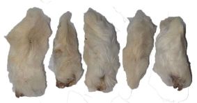 Furry Rabbit Feet