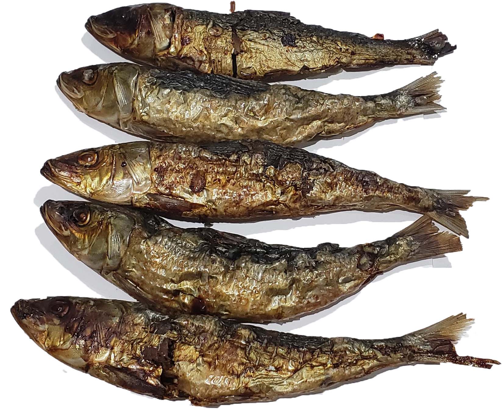 Sardines