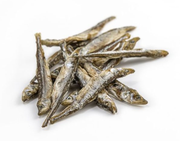 Smelt